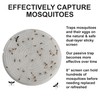 STUCK Pro AGO Mosquito Trap Sticky Screen Refills, 2-Pack