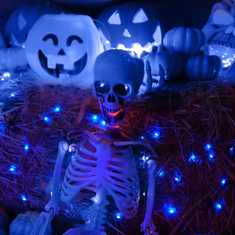 Homemory 2 Pack 33 Ft 100 LED Blue Halloween Fairy