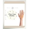 Dichroma 20 Pack Flea Trap Refill Discs Replacement Glue Boards