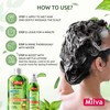 Nettle Shampoo – Helps Regulate Sebum Production, Reduce Dandruff &