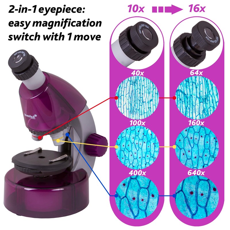 Levenhuk LabZZ M101 Amethyst STEM Microscopio per Bambini con Zoom