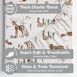 Sorrel + Fern 2-Pack Crib Sheet for Standard Crib Mattress (Magic Forest) - Premium Fitted Sheets - Buttery Soft Cotton Blend