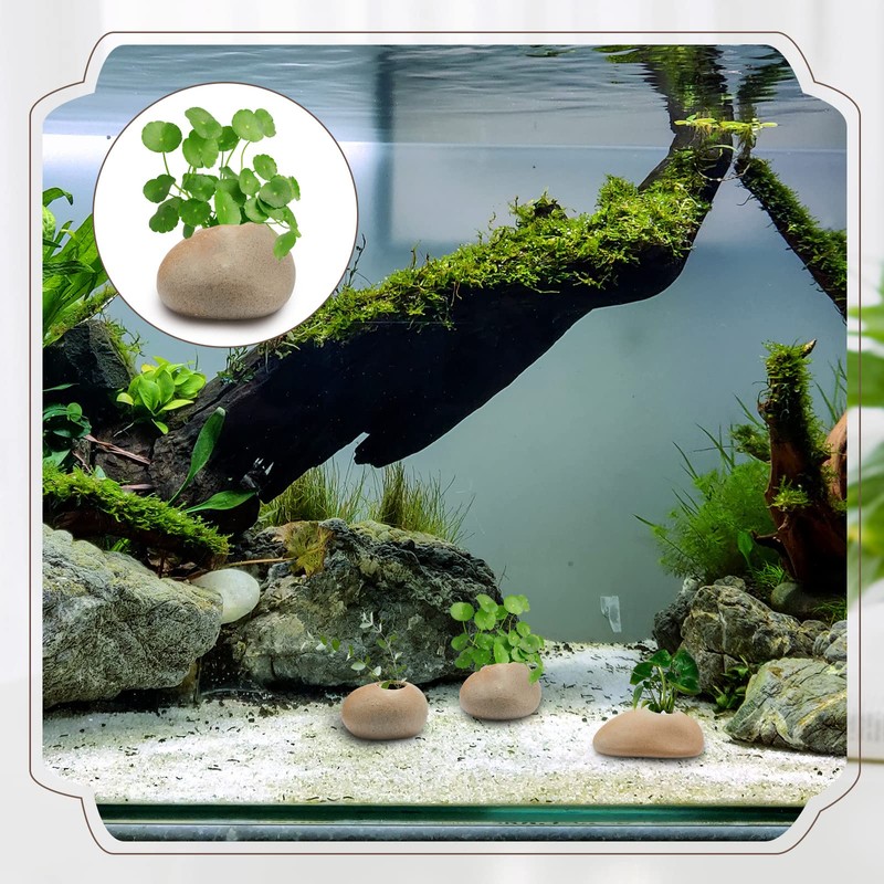 Norme 8 Pcs Aquarium Plant Pots Ceramic Aquarium Plant Holder