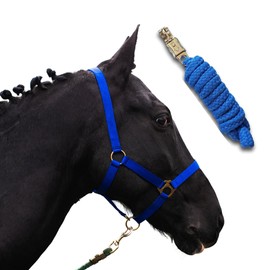Pferdelinis Headcollar with Knitted Halter for Wooden Horse, Foal Halter 2-Way Adjustable on Chin Strap and Headpiece (Foal, Royal Blue)