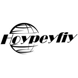 Hoypeyfiy 4-Position Universal Ignition Key Switch, Replacement for ATC 200E 200ES 125M 200M, Replaces 35010-958-680