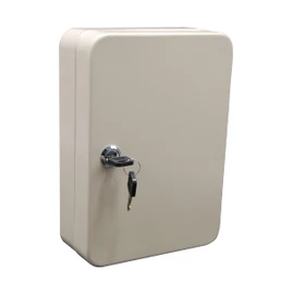 Key Storage Metal Lock Cabinet with Keys Security Locked Safe Key Storage Box Key Organizer Holder Locked Key Box Wall Mount Steel 48 Key Slots 10" H x 7.2" W x 3" D (White)