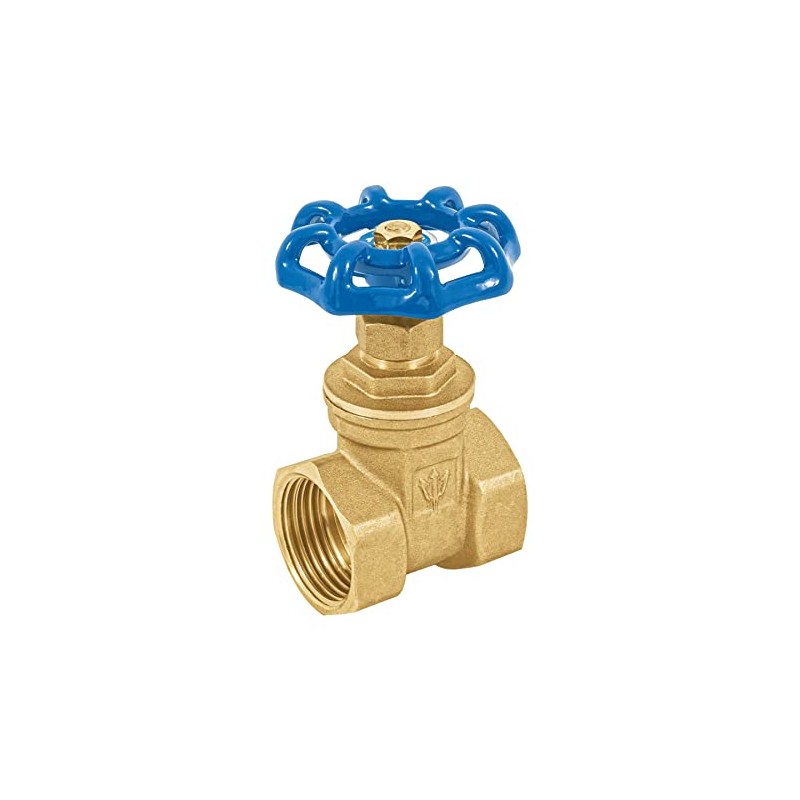 Foset CORO-1, Válvula de compuerta de 1", roscable