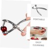 ABOOFAN Cherry Pitter Tool Stainless Steel Cherry and Olive Remover