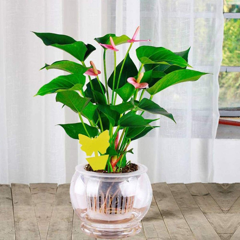 Faicuk Dual-Sided Yellow Sticky Fly Traps for Plant (20 Pack