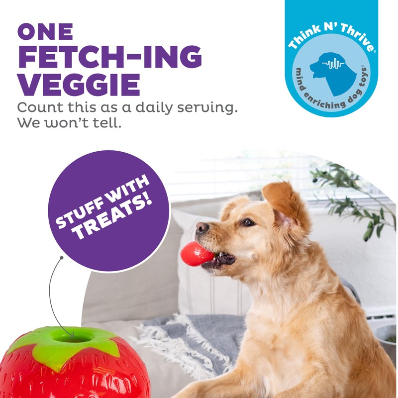 Outward Hound by Planet Dog Foodies Strawberry Treat-Dispensing Dog Chew