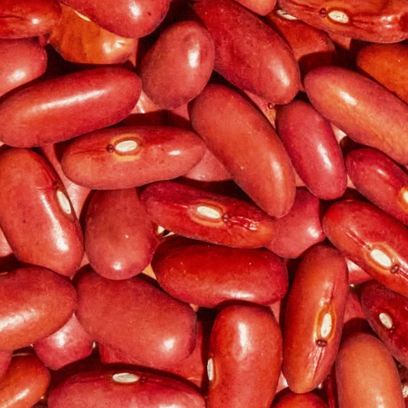 SIMPLi Regenerative Organic Certified Kidney Beans, Organic Red Kidney Beans