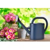 Watering Can 1 Gallon for Indoor Plants, Garden, Outdoor Plant