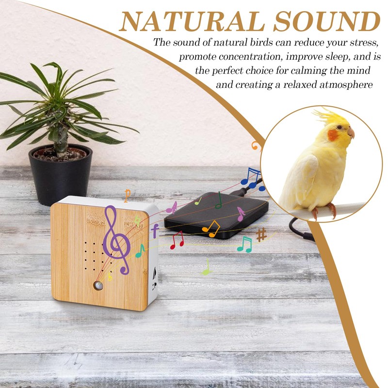 WIYETY Bird Chirping Motion Sensor Box: Nature Sounds Box Bird