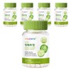 Holidays' convenient cabbage tablets, 5 pieces, 90 tablets / 홀리데이즈 속 편한 양배추정, 5개, 90정