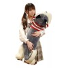 Jextech Peluche Gigante 120cm Husky Lobo Con Sueter Juguete Regalo