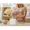 Royal Imports Flower Acrylic Vases Cubes - Decorative Centerpiece for