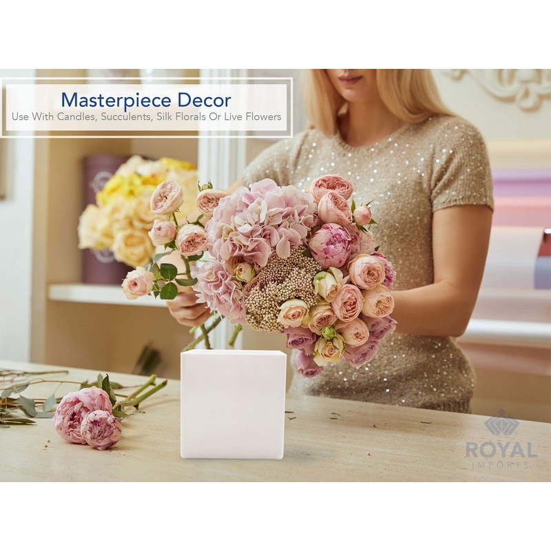 Royal Imports Flower Acrylic Vases Cubes - Decorative Centerpiece for