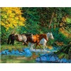 Meecaa Paint by Numbers Horse Jungle Creek Kit for Adults