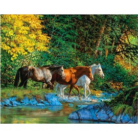 Meecaa Paint by Numbers Horse Jungle Creek Kit for Adults Beginner DIY Oil Painting 16x20 inch (Horse, No Frame)
