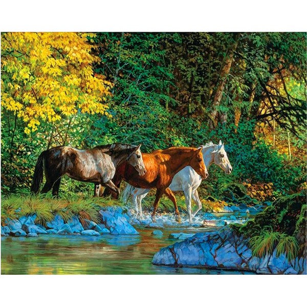 Meecaa Paint by Numbers Horse Jungle Creek Kit for Adults