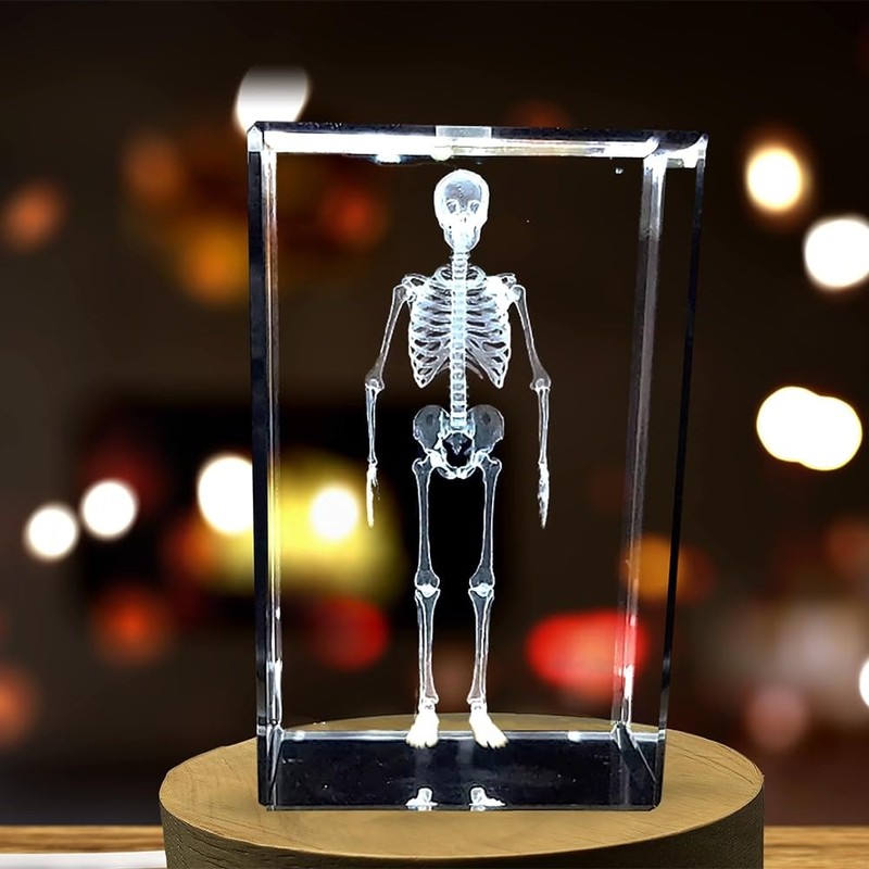 Human Skeleton 3D Engraved Crystal Novelty Decor (Small)