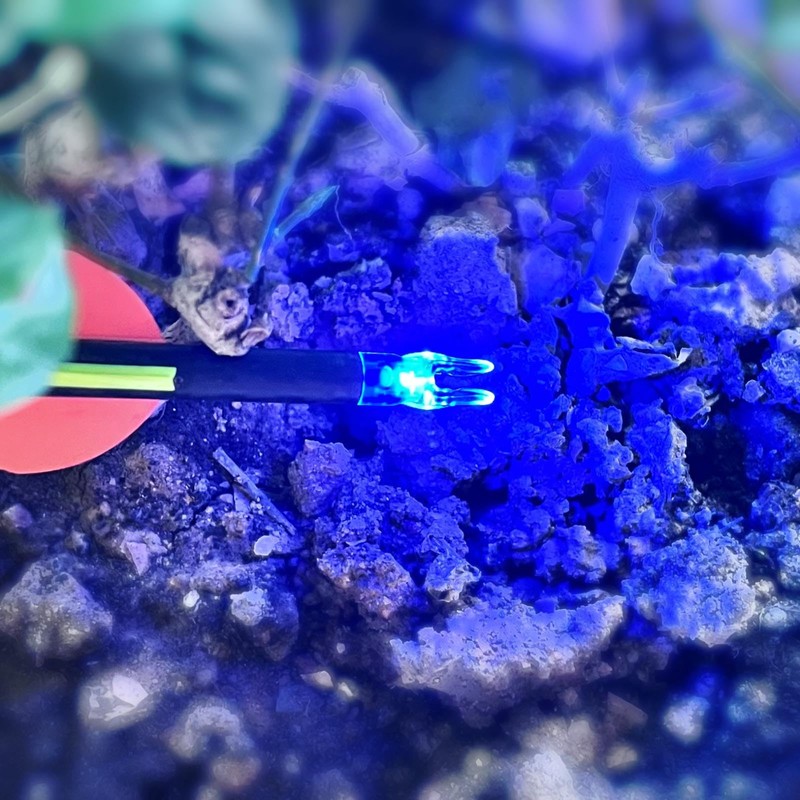 (Blue) - XHYCKJ 6PCS S Led Lighted Nocks for Arrows