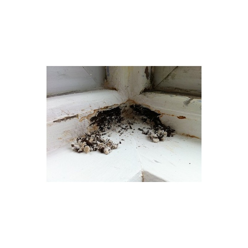 One Coat Damp Seal 250 ml - RSLTOCDS250