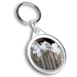 Destination Vinyl ltd 1 x Photo Keyring - Cute White Goats Goat |Keychain|Keyring|Charm| #44815