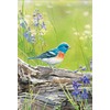 MagnetWorks MAIL91272 Meadow Bluebird Standard Flag