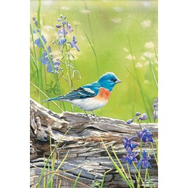 MagnetWorks MAIL91272 Meadow Bluebird Standard Flag