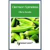 100 Clemson Spineless Okra Seeds for Planting Non GMO Heirloom