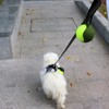 Dog Toy Ball Holder - Leash Attachment, Hands-Free, Pet Toys,