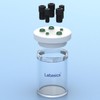 Labasics Electrolytic Cell, Single-Chamber Borosilicate Sealed Electrochemical Cell Kit Reactor