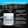 Gym Molly Creatine Hydrochloride Powder, Highly Soluble Creatine Hydrochloride, Unflavoured,