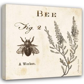 ArtDirect Bee Fig 2 15x15 Gallery Wrapped Canvas Museum Art by Babbitt, Gwendolyn