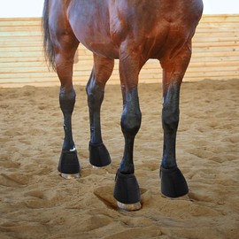 GHWMYD Horse Bell Boots-Black, Large Shock Absorbing Hoof Protection for Horses Against Hoof Impact Trauma, Horse Care Boots for Turnout No Rub Design Quick Wrap Hook and Loop