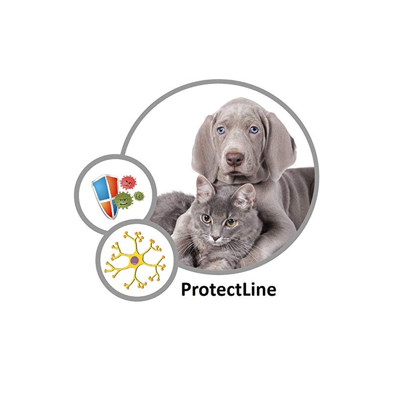 Cadoc - Nature Exclusive Spirulina, 250 g, Greenish, Tasteful