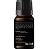 Handcraft Blends Frankincense Essential Oil - 0.33 Fl Oz -
