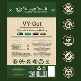 VY-Gut Suplemento Digestivo Natural con Prebióticos y Enzimas – Alivio Rápido de Gases e Hinchazón – Salud Intestinal, Azúcar en Sangre y Energía Estables – Vegano – 60 Cápsulas
