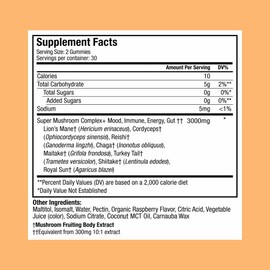 Plant People Plant People WonderDay Mushroom Gummies - Lion's Mane, Cordyceps, Chaga Mushroom Supplement to Support Immune System De-Stress Boost Mood & Energy in Adults Natural, Vegan, Non-GMO (60 Count)