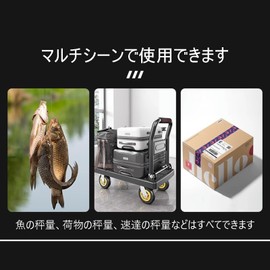 Hanging Scale, Bag Scale, Travel, Luggage Scale, LCC, Portable, Portable, Digital Scale, 22.0 - 110.0 lbs (50 kg), Precision LCD, LCD Display, Lightweight, Tare Function, Silver