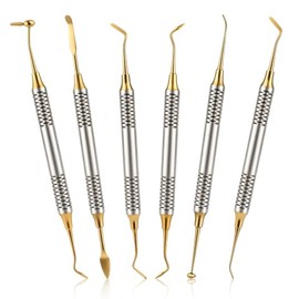 6 Piezas Kit de Limpieza Dental, Juego de Herramientas Dental de Acero Inoxidable Profesional, Diseño Multifuncional de Doble Cabezal, para Adultos
