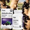 [Sangsang Gun Mall] Newly Jaboticaba Puree Gold containing 100% Brazilian blueberry lingonberry powder, 10 boxes, 30 servings / [상상건몰] 100% 브라질산 블루베리 링돈베리 분말 함유 뉴일리 자보티카바 퓨레 골드, 10박스, 30회분