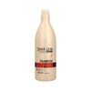 STAPIZ Sleek Line Shampoo with Silk Repair 1000 ml