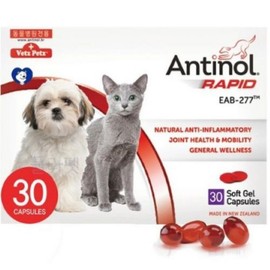 Antinol 30 tablets Antinol Rapid 30 tablets Natural ingredient joint nutrition Genuine for veterinary hospitals For both dogs and cats + Wet snack exclusively for veterinary hospitals, 1 piece / 안티놀 30정  안티놀 래피드 30정  천연 성분  관절영양제  동물병원 전용 정품  강아지 고양이 겸용 + 동물병원 전용 습식 간식, 1개
