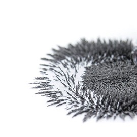 iothinks 1kg Iron Powder [Free Bottle] - Iron Filings for Science and Education - Create a Magnetic Wall