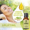 Natural Planet Lemongrass Essential Oil 15ML Natural 100% Pure &