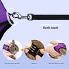 Niteangel Adjustable Soft Harness with Elastic Leash for Rabbits (M,