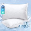 COZSINOOR Queen Size Bed Pillows Set of 2 - Cooling