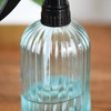 Handheld Glass Spray Bottle with Adjustable Nozzle for Watering Indoor